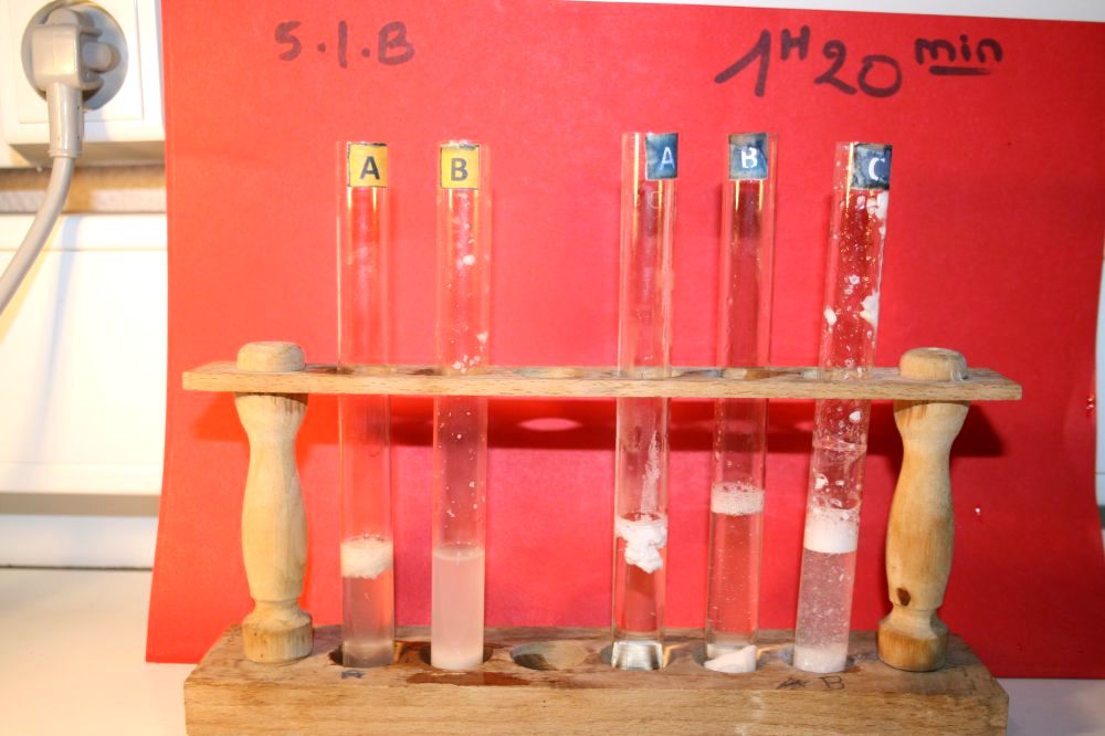 gal/LES_CINQUIEMES/ACTIVITE DIGESTION IN VITRO/Groupe_03/Groupe03_t_01h20min/Groupe03_temps01H20min_14.jpg
